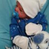 It's a boy - Image 9