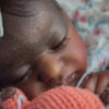 Lil Treasure - Image 14